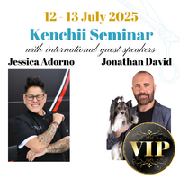 VIP Kenchii Seminar two day ticket