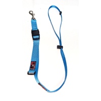 Black Dog Wear Grooming Loop Adjustable Aqua