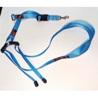 Black Dog Wear Grooming Sling Aqua